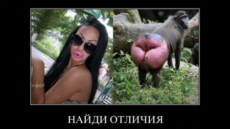 демотиваторы с моделями
