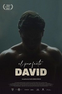 Идеальный Давид (2021) Смотреть онлайн