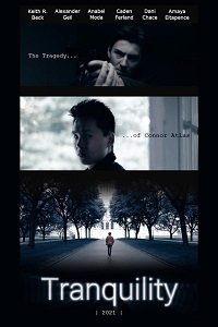 Успокоение - независимый фильм (2021) Смотреть онлайн