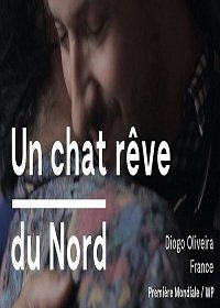 Кот, мечтающий о севере (2020) Смотреть онлайн