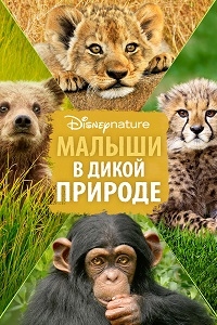 Малыши в дикой природе (2016) Смотреть онлайн