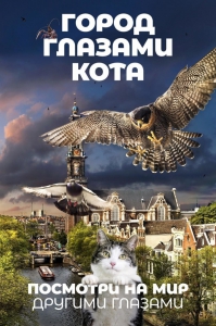 Город глазами кота (2018) Смотреть онлайн