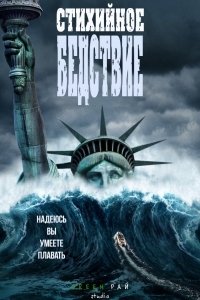 Стихийное бедствие (2017) Смотреть онлайн
