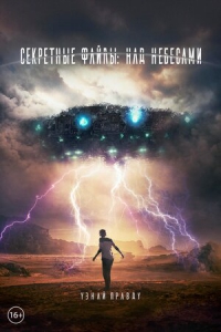 Секретные файлы: Над небесами (2018) Смотреть онлайн