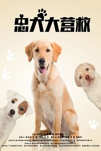 Спасите наших собак (2018) Смотреть онлайн