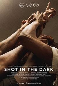 Выстрел в темноте (2017) Смотреть онлайн