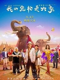 Дорогие мои слоны (2019) Смотреть онлайн