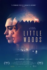 Лесок (2018) Смотреть онлайн