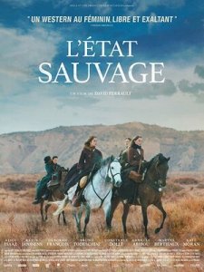 Дикий штат (2019) Смотреть онлайн
