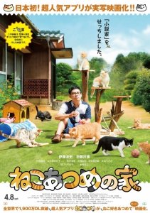 Дом кошек (2017) Смотреть онлайн