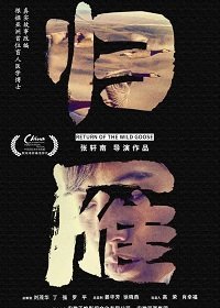 Возвращение дикого гуся (2019) Смотреть онлайн