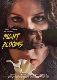 Цветы ночи (2021) Смотреть онлайн