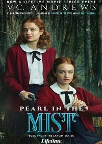 Семейство Лэндри: Свет в ночи (2021) Смотреть онлайн
