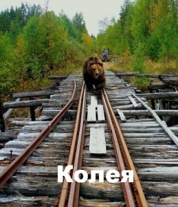 Колея (2001) Смотреть онлайн