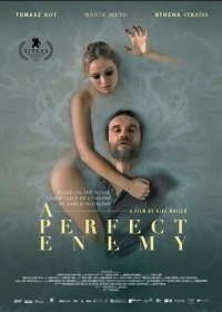 Идеальный враг (2020) Смотреть онлайн