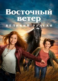 Восточный ветер. Великий ураган (2021) Смотреть онлайн