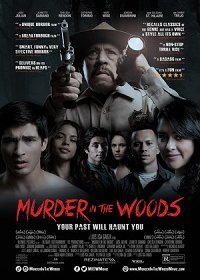 Убийство в лесу (2017) Смотреть онлайн