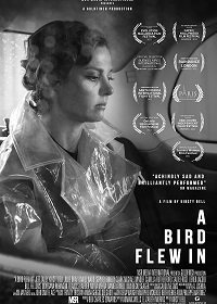 Залётная птица (2021) Смотреть онлайн