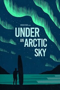 Под арктическим небом (2017) Смотреть онлайн