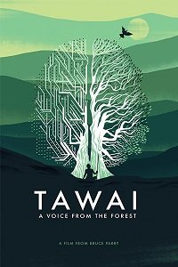 Таваи: голос, идущий из леса (2017) Смотреть онлайн